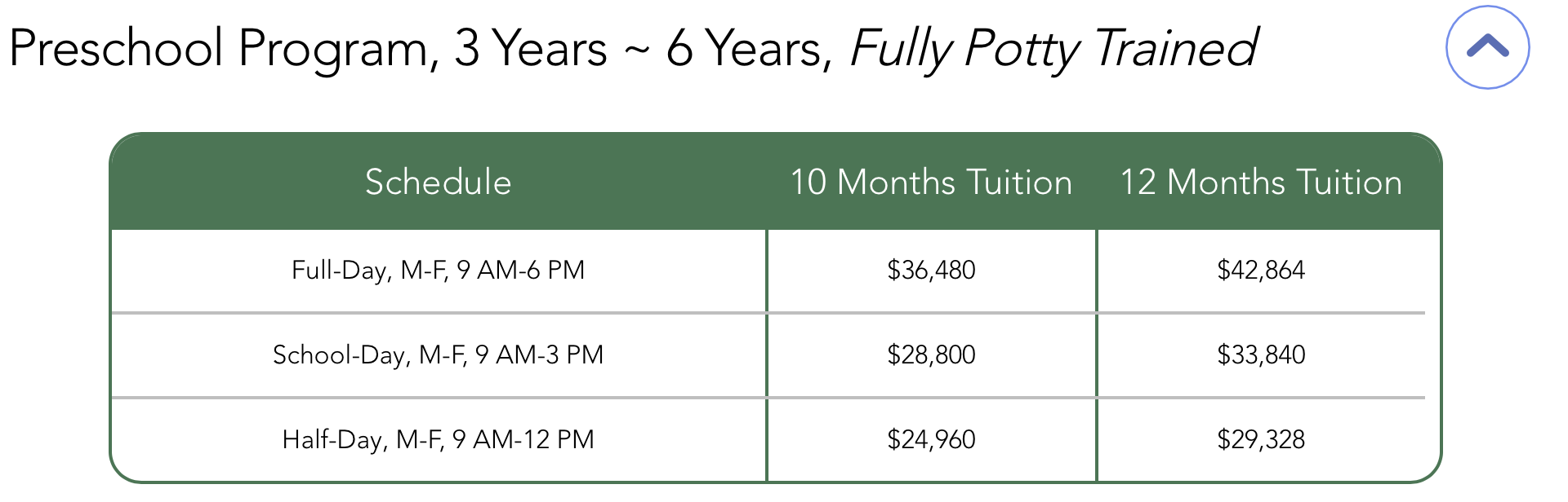 Little Tree Montessori NYC Enrollment Options - After School and Summer Camp